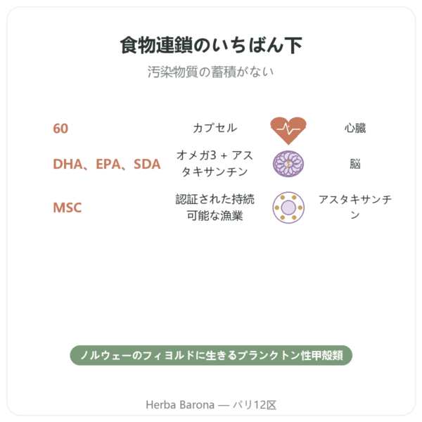 カラヌスオイル – Dr Jacob's – 60カプセル benefits and key facts Paris Herba Barona