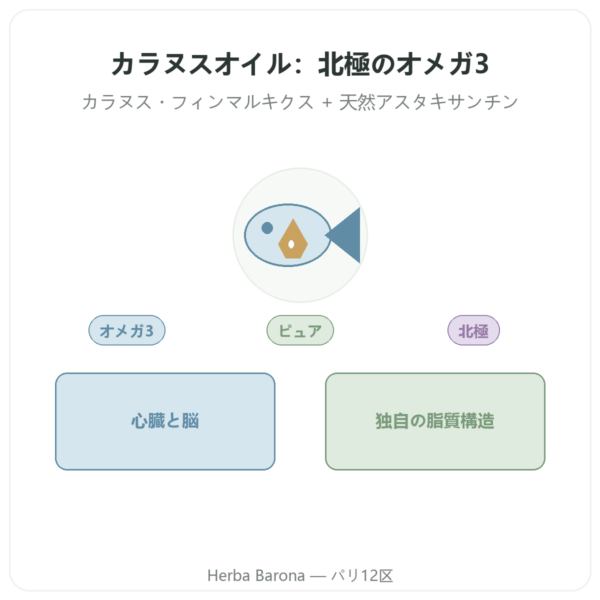 カラヌスオイル – Dr Jacob's – 60カプセル presentation Paris Herba Barona