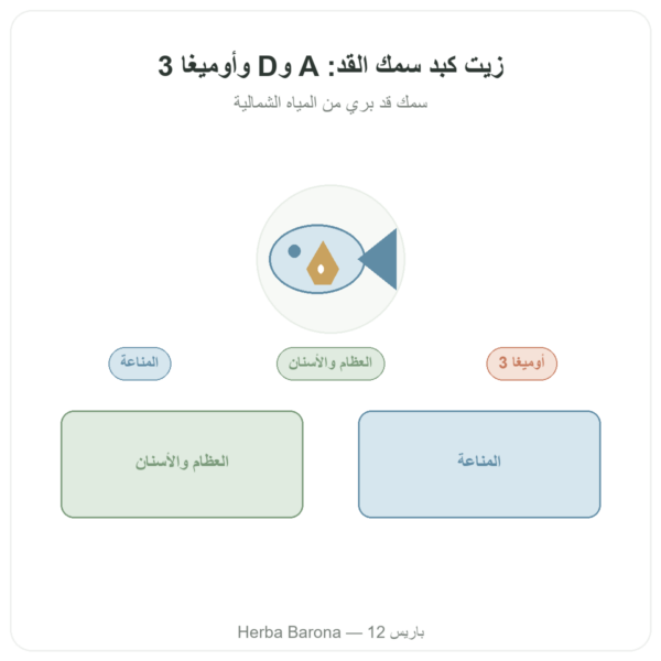 زيت كبد الحوت 500 ملغ 60 كبسولة DYNVEO عرض المنتج Paris Herba Barona