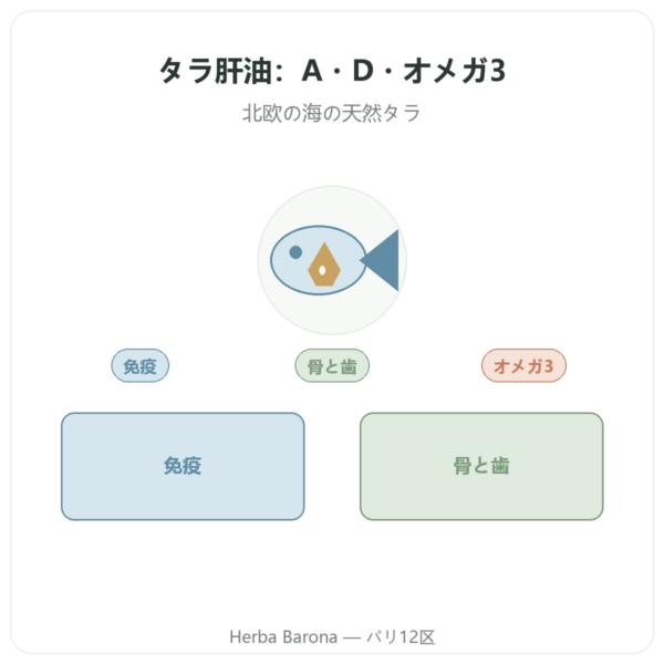 DYNVEO タラ肝油 500 mg 60カプセル presentation Paris Herba Barona