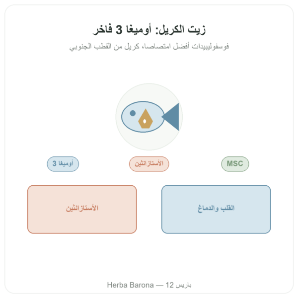 زيت الكريل النقي Superba Boost™ – 60 كبسولة DYNVEO عرض المنتج Paris Herba Barona