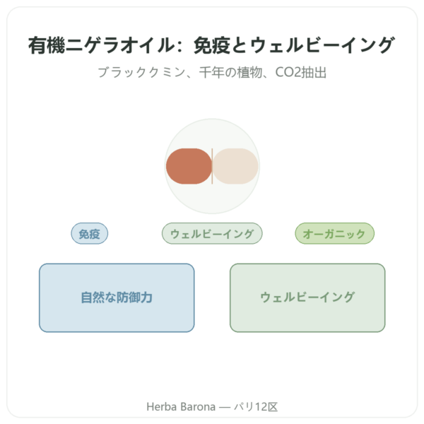 ブラックシードオイル(ニゲラ・黒クミン) – Dynveo – 60カプセル presentation Paris Herba Barona