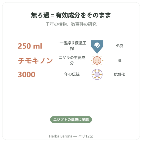 オーガニック ニゲラオイル 無濾過 250ml – Krauterland benefits and key facts Paris Herba Barona