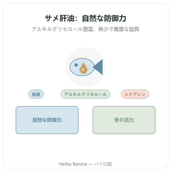 サメ肝油 – Distriform' – 120カプセル presentation Paris Herba Barona