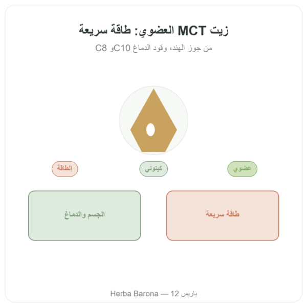 زيت MCT العضوي – Amanprana – 500 مل – C8 وC10 عرض المنتج Paris Herba Barona