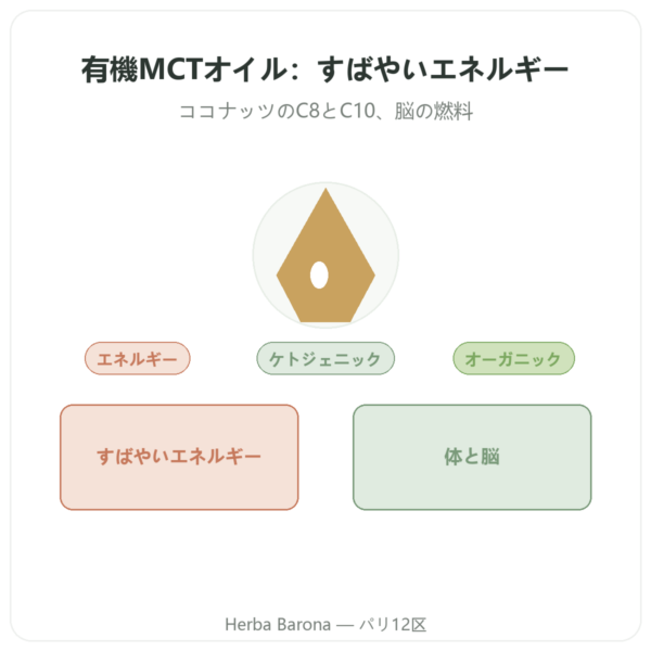 Amanprana オーガニック MCTオイル 500 ml – C8・C10 presentation Paris Herba Barona