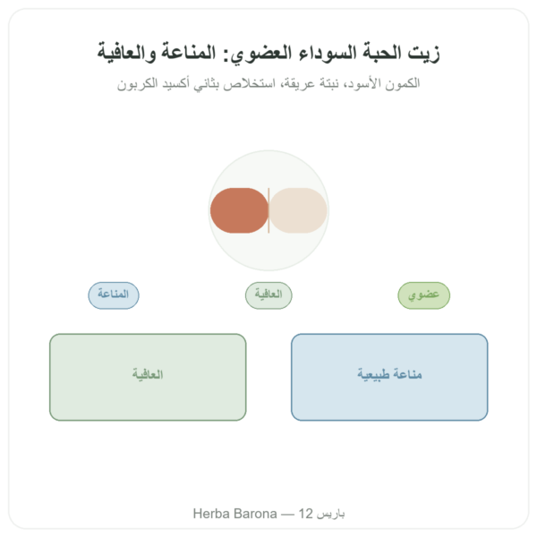 زيت الحبة السوداء (الكمون الأسود) – Dynveo – 60 كبسولة عرض المنتج Paris Herba Barona