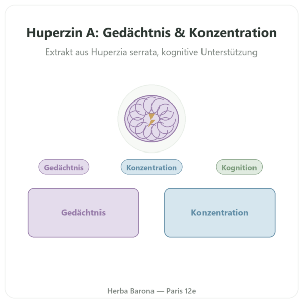 Huperzin A – Dynveo – 60 Kapseln Vorstellung Paris Herba Barona