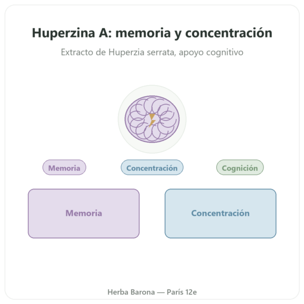 Huperzina A – Dynveo – 60 cápsulas presentación Paris Herba Barona