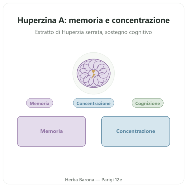 Huperzina A – Dynveo – 60 capsule presentazione Paris Herba Barona