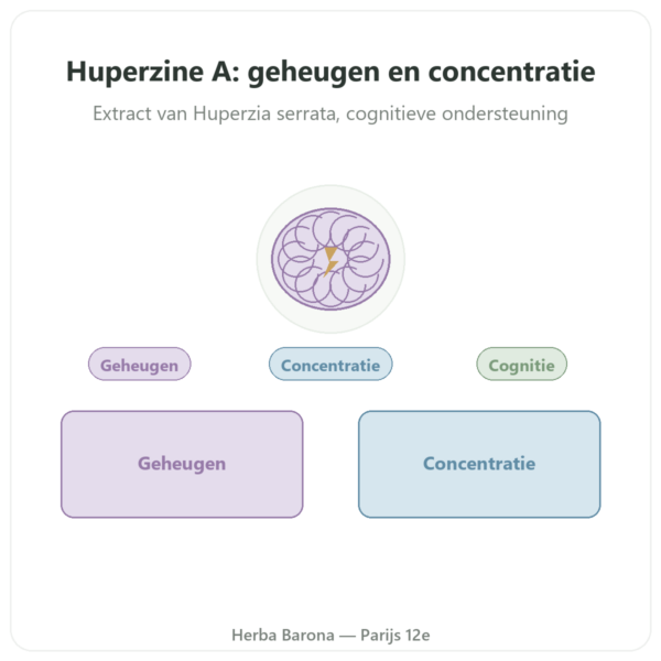 Huperzine A – Dynveo – 60 capsules presentatie Paris Herba Barona