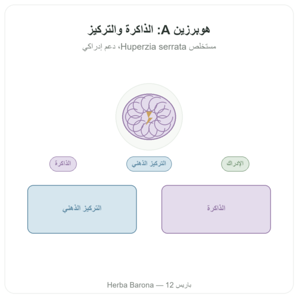 هوبرزين A – Dynveo – 60 كبسولة عرض المنتج Paris Herba Barona