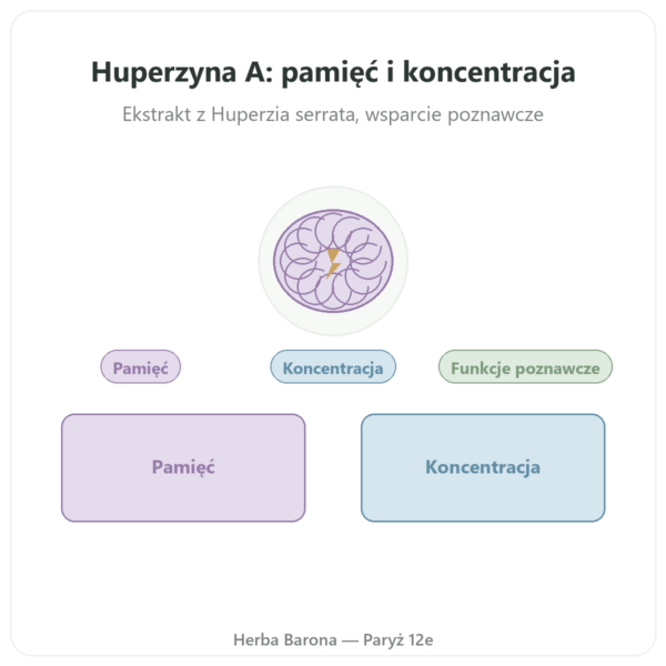 Huperzyna A – Dynveo – 60 kapsułek prezentacja Paris Herba Barona