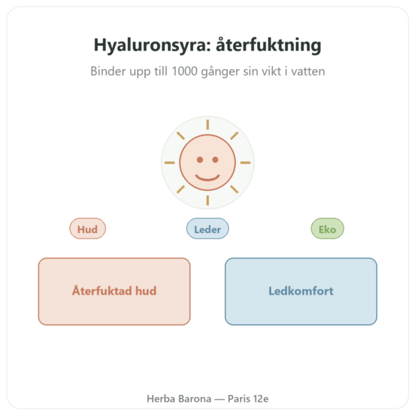 Hyaluronsyra ekologisk Dynveo 60 kapslar presentation Paris Herba Barona