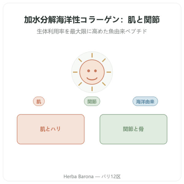 加水分解マリンコラーゲン カプセル presentation Paris Herba Barona