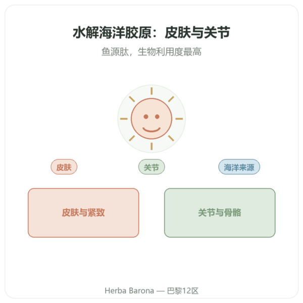 海洋胶原蛋白水解胶囊 产品展示 Paris Herba Barona
