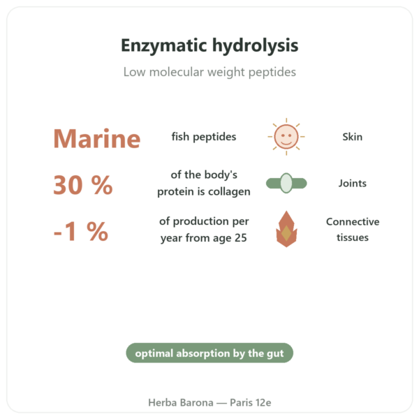 Hydrolysed Marine Collagen Capsules benefits and key facts Paris Herba Barona