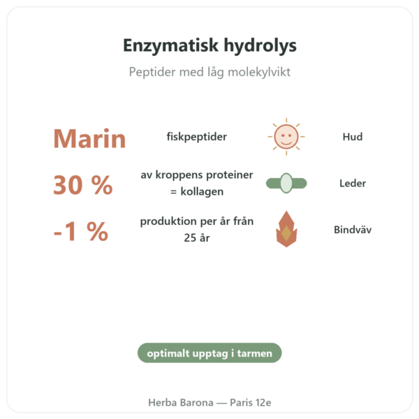 Marint kollagen i hydrolyserade kapslar fördelar och nyckelfakta Paris Herba Barona
