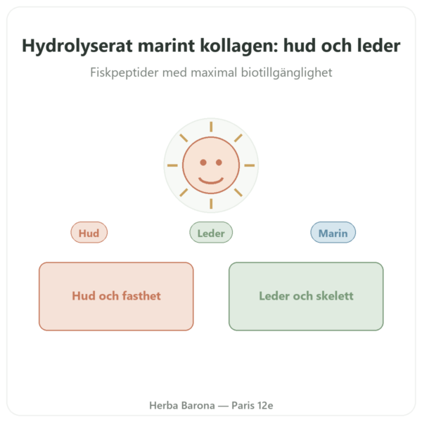 Marint kollagen i hydrolyserade kapslar presentation Paris Herba Barona