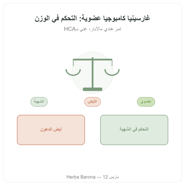 غارسينيا كامبوجيا عضوية (حمض هيدروكسي ستريك) – Dynveo – 90 كبسولة عرض المنتج Paris Herba Barona