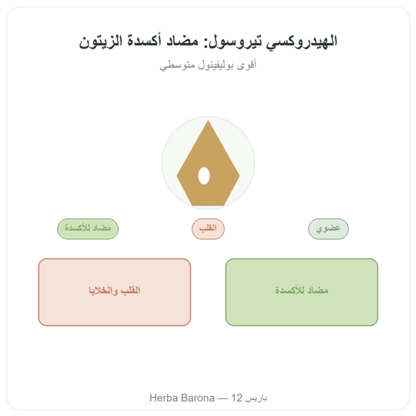 هيدروكسيتيروسول مستخلص الزيتون العضوي – Dynveo – 60 كبسولة عرض المنتج Paris Herba Barona