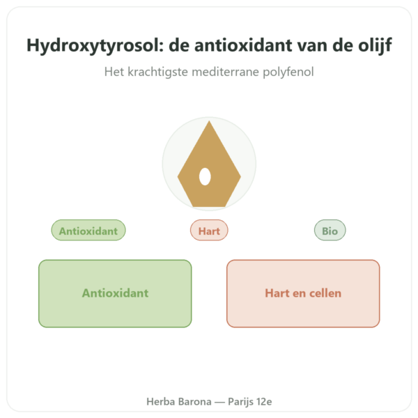 Biologisch Hydroxytyrosol uit Olijf Dynveo presentatie Paris Herba Barona