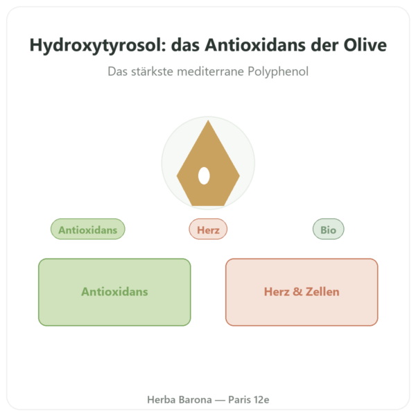 Hydroxytyrosol Olivenextrakt Bio Mediteanox® – Dynveo – 60 Kapseln Vorstellung Paris Herba Barona
