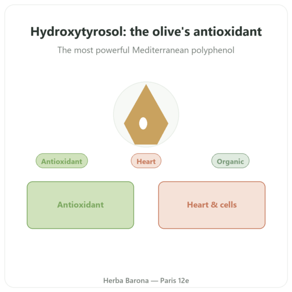 Hydroxytyrosol Organic Olive Extract – Dynveo – 60 Capsules presentation Paris Herba Barona