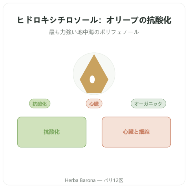 Dynveo ヒドロキシチロソール オーガニックオリーブ抽出物 60カプセル presentation Paris Herba Barona