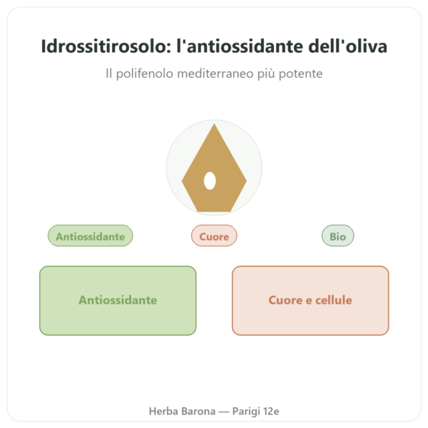 Idrossitirosolo estratto di oliva BIO Dynveo – 60 capsule presentazione Paris Herba Barona