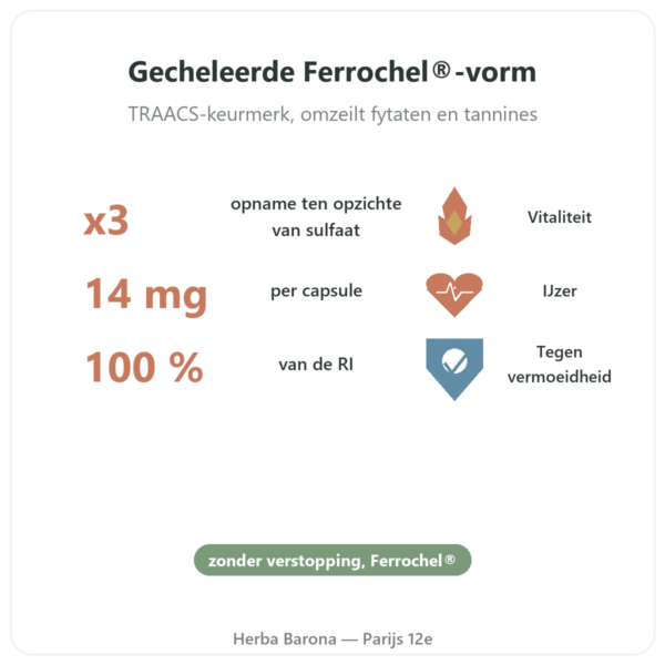 IJzerbisglycinaat – Dynveo – 60 capsules voordelen en kerngegevens Paris Herba Barona