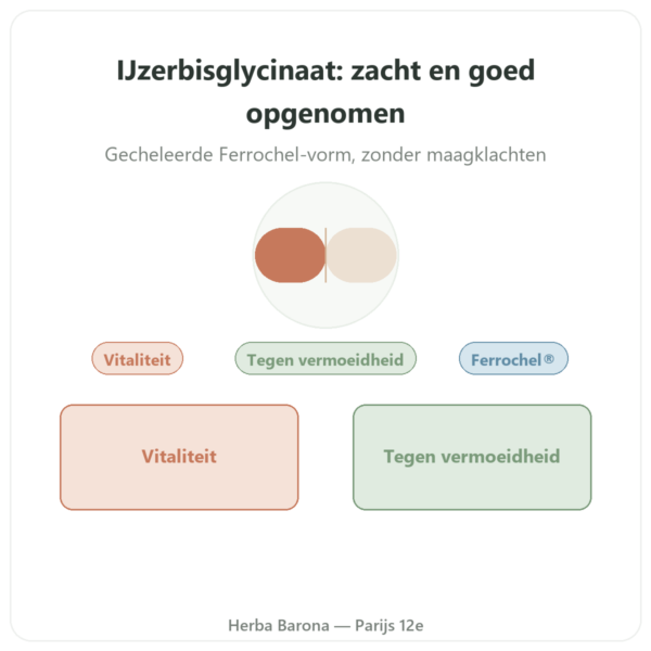 IJzerbisglycinaat – Dynveo – 60 capsules presentatie Paris Herba Barona