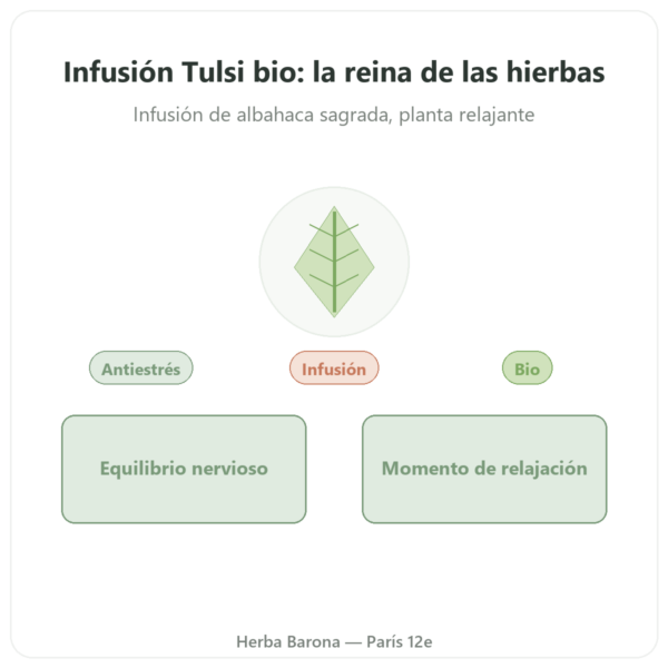 Infusión Tulsi Bio – 25 Bolsitas – Ayur-vana presentación Paris Herba Barona