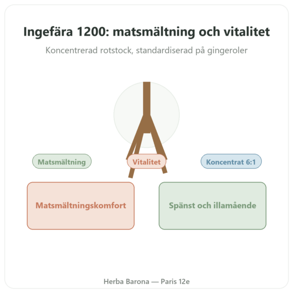 Ingefära 1200 – Be-Life – 90 Kapslar presentation Paris Herba Barona