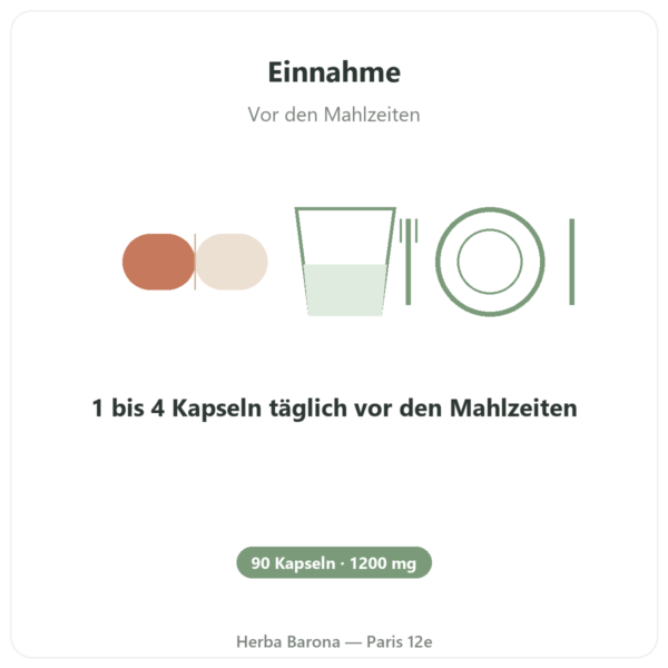 Ingwer 1200 – Be-Life – 90 Kapseln Anwendung und Dosierung Paris Herba Barona