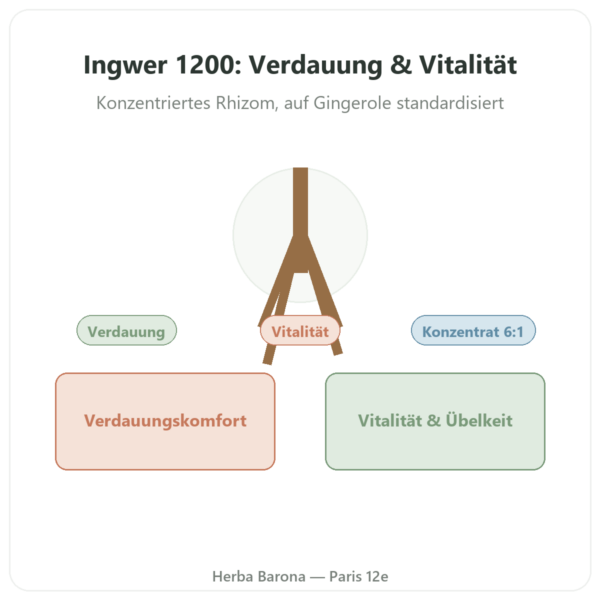 Ingwer 1200 – Be-Life – 90 Kapseln Vorstellung Paris Herba Barona