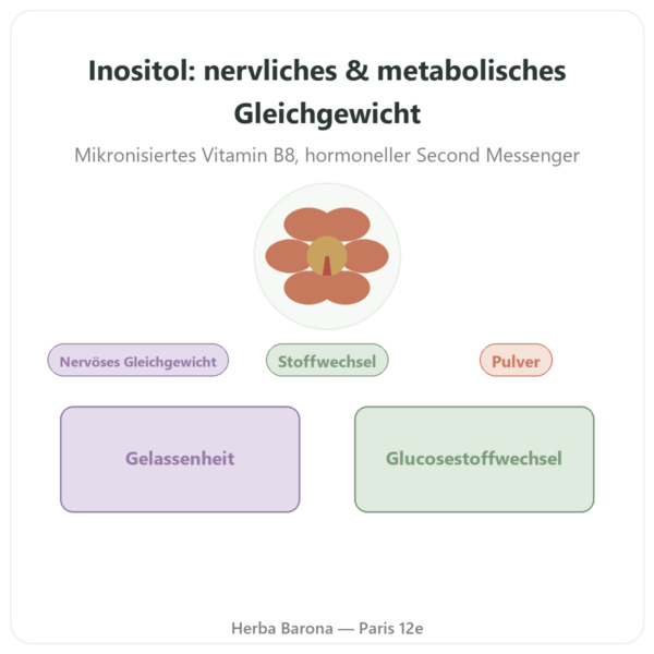 Inositol Pulver – Now Foods – 113 g (Vitamin B8 mikronisiert) Vorstellung Paris Herba Barona