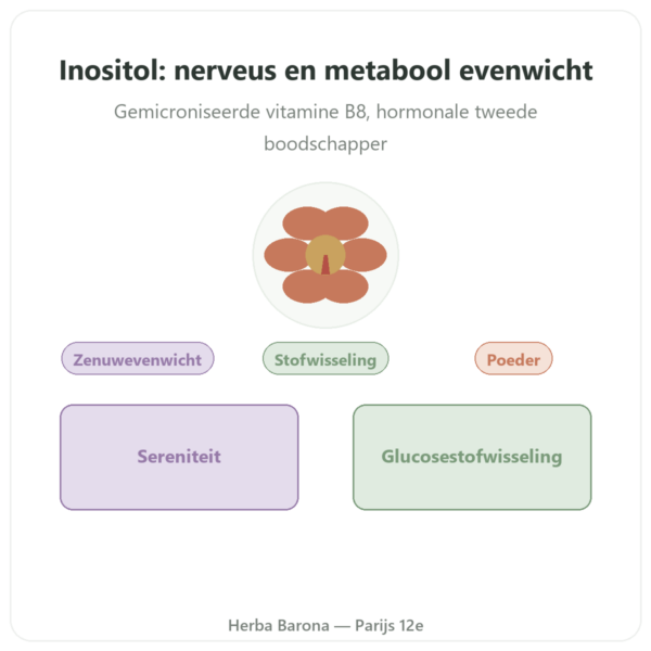 Inositol Pure Poeder Now Foods 113 g - Vitamine B8 gemicroniseerd presentatie Paris Herba Barona