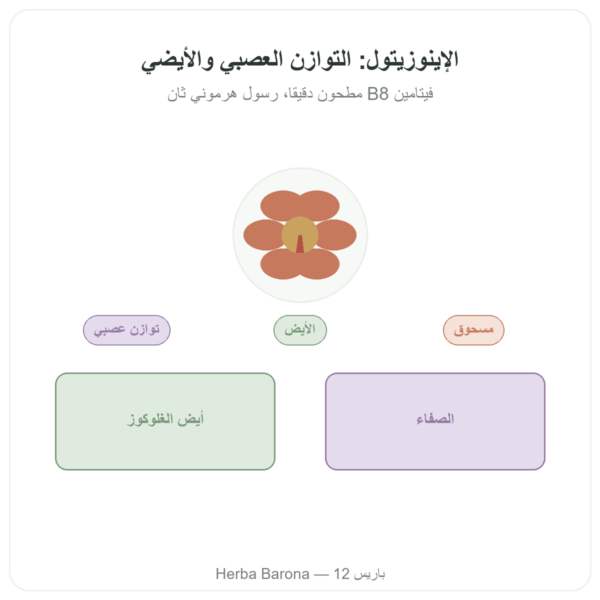 إينوزيتول بودرة نقية – Now Foods 113 غرام - فيتامين B8 مصغّر عرض المنتج Paris Herba Barona