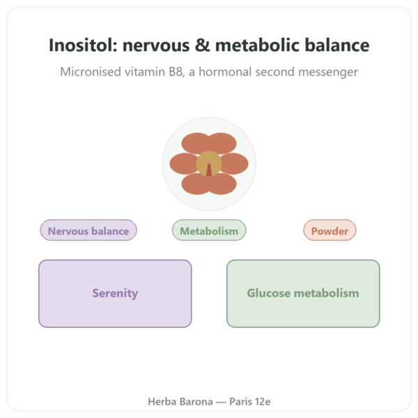 Inositol Pure Powder – Now Foods – 113 g – Micronised Vitamin B8 presentation Paris Herba Barona