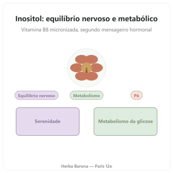Inositol Puro em Pó – Now Foods – 113 g - Vitamina B8 micronizada apresentação Paris Herba Barona