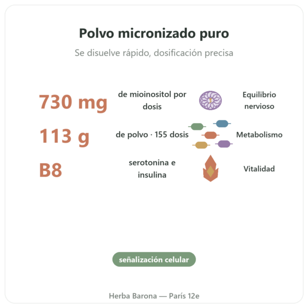 Inositol Puro en Polvo – NOW Foods – 113 g – Vitamina B8 Micronizada beneficios y datos clave Paris Herba Barona