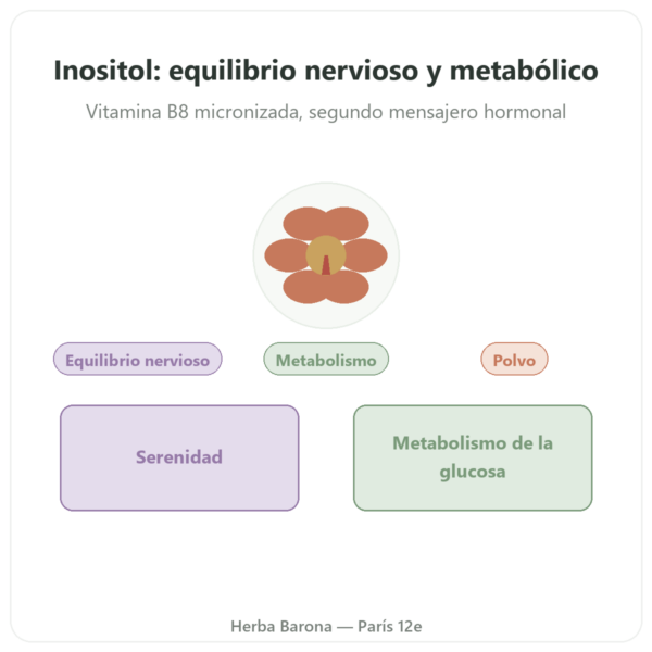 Inositol Puro en Polvo – NOW Foods – 113 g – Vitamina B8 Micronizada presentación Paris Herba Barona