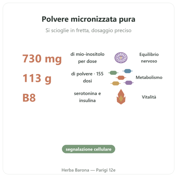 Inositolo Puro in Polvere – NOW Foods – 113 g – Vitamina B8 Micronizzata benefici e dati chiave Paris Herba Barona