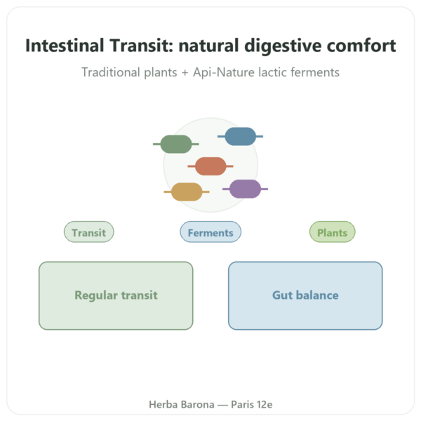 Intestinal Transit Essence Pure – 30 Capsules presentation Paris Herba Barona