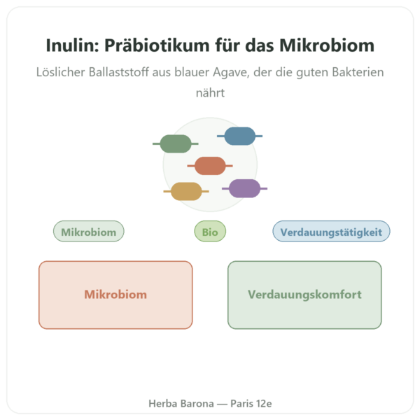 Inulin Pulver Bio – Now Foods – 227 g – Präbiotikum Vorstellung Paris Herba Barona