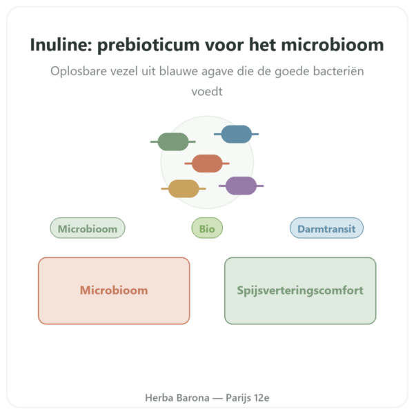 Inulin Pure Poeder bio Now Foods 227g - Prebioticum presentatie Paris Herba Barona