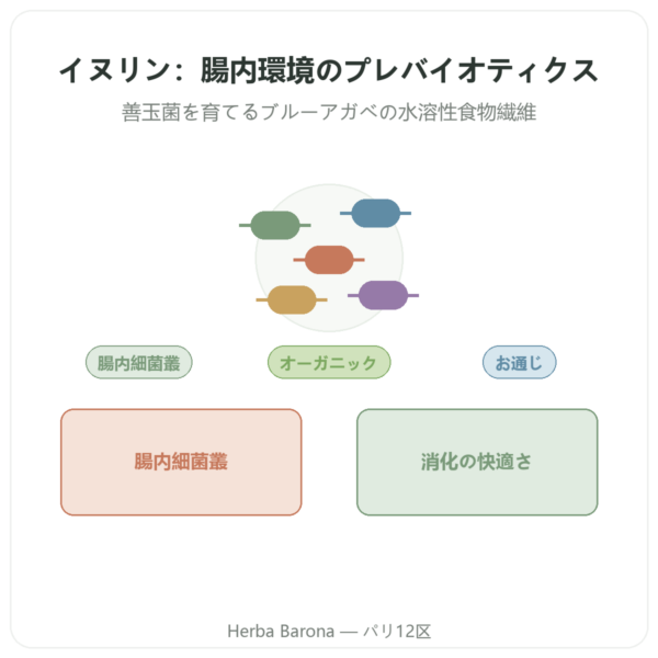 イヌリン ピュアパウダー オーガニック Now Foods 227g – プレバイオティクス presentation Paris Herba Barona