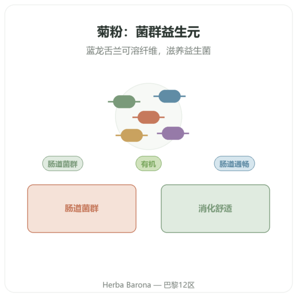 菊粉纯粉末 有机 Now Foods 227克 - 益生元 产品展示 Paris Herba Barona