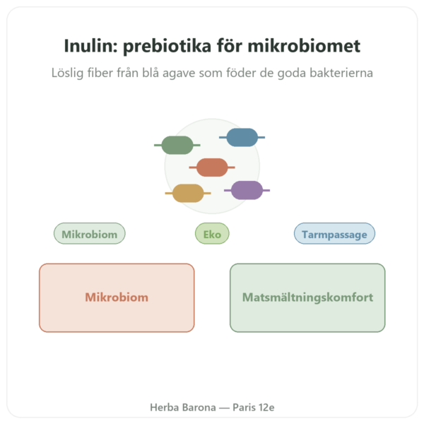Inulin Rent Ekologiskt Pulver Now Foods 227g - Prebiotika presentation Paris Herba Barona